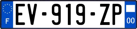 EV-919-ZP