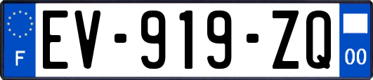 EV-919-ZQ