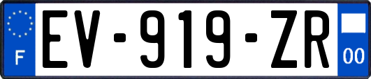 EV-919-ZR