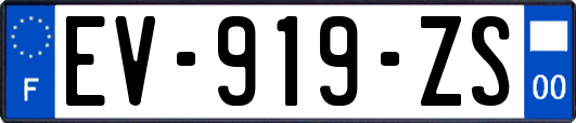 EV-919-ZS