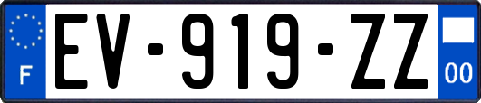 EV-919-ZZ