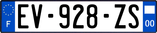 EV-928-ZS