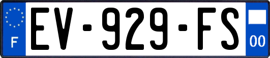 EV-929-FS
