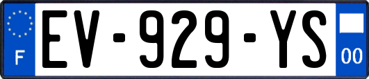 EV-929-YS