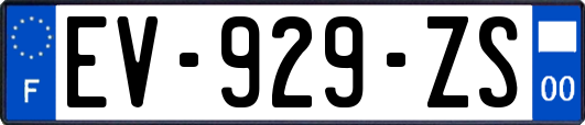 EV-929-ZS