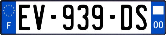 EV-939-DS