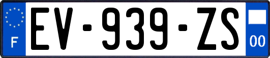 EV-939-ZS