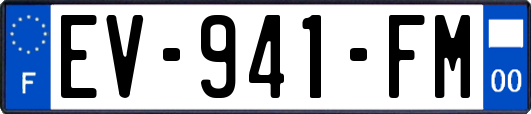 EV-941-FM