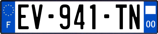 EV-941-TN
