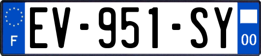EV-951-SY