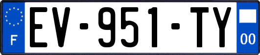 EV-951-TY