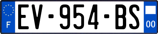 EV-954-BS