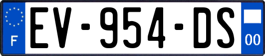 EV-954-DS