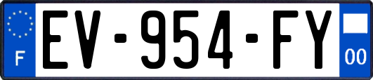 EV-954-FY