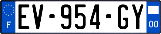 EV-954-GY