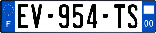 EV-954-TS
