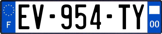EV-954-TY