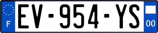 EV-954-YS