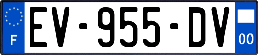 EV-955-DV