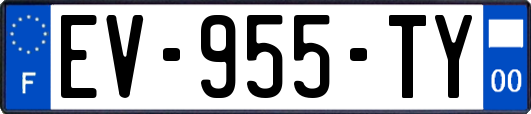 EV-955-TY