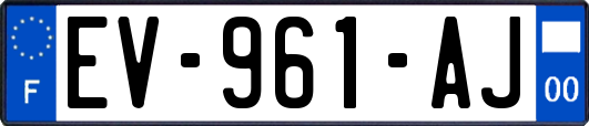 EV-961-AJ