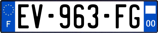 EV-963-FG