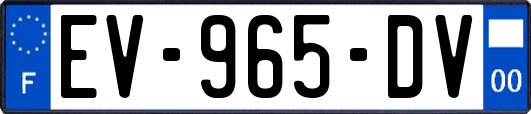 EV-965-DV