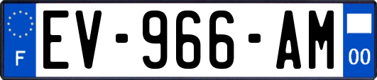 EV-966-AM