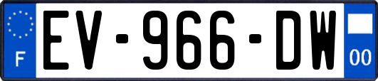 EV-966-DW