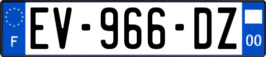 EV-966-DZ