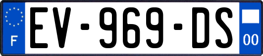 EV-969-DS