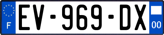 EV-969-DX