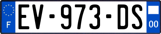 EV-973-DS