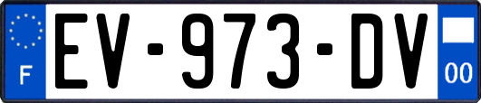 EV-973-DV