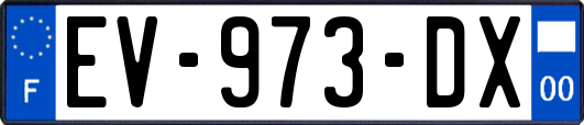 EV-973-DX