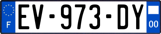 EV-973-DY