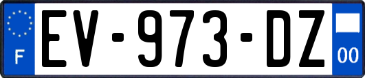 EV-973-DZ