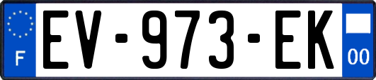 EV-973-EK