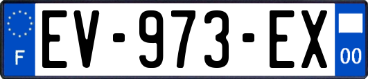 EV-973-EX