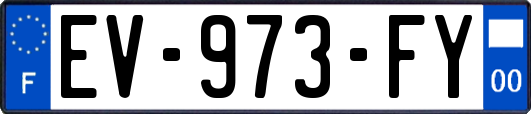 EV-973-FY