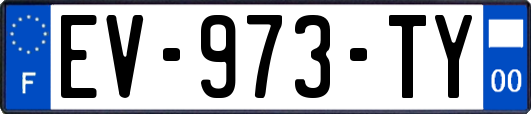 EV-973-TY