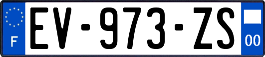 EV-973-ZS