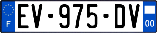 EV-975-DV