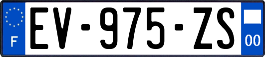 EV-975-ZS