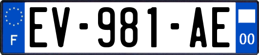 EV-981-AE