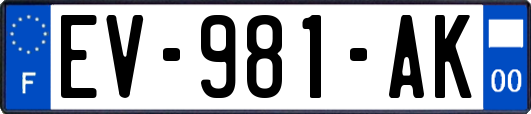 EV-981-AK