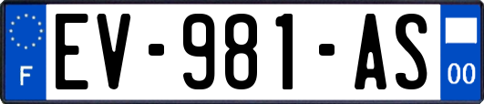 EV-981-AS