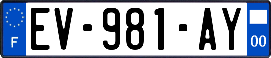 EV-981-AY