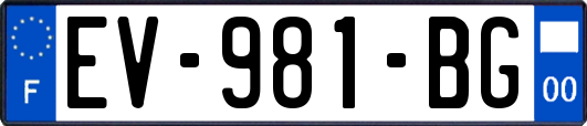 EV-981-BG