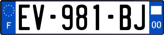 EV-981-BJ